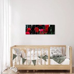 Kép - Pipacsok tánca (órával) (90x30 cm)