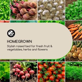 Blumfeldt Modu Grow 50, magaságyás, 50 x 45 x 50 cm, fenyőfa, fenyő