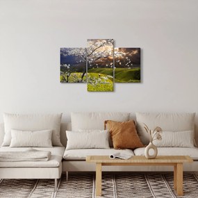 Kép - Virágzó fa az országban (90x60 cm)