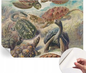 Öntapadós Dekoratív Fotótapéta Hálószobába Teknős állatvilág 312x219 cm