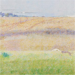 Flizelin fotótapéta Flizelin Design Nyári mező 250x250 Ragasztó