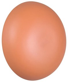 Narancssárga USB LED fali lámpa Davey – Trio