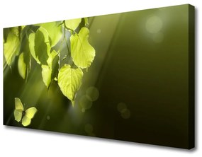 Vászonkép nyomtatás A levelek Sun Rays 100x50 cm