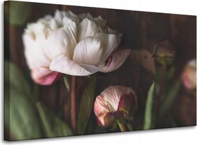 Vászonkép Fehér Virág Természet Vintage Retro 100x60