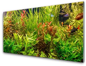 Üvegkép Akváriumi halak Növények 120x60cm