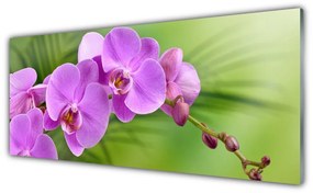 Fali üvegkép Orchidea Orchidea Virág 125x50 cm