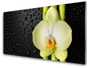 Akrilkép Bamboo Orchid Virág 120x60 cm 2 fogas