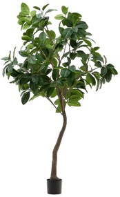 Fikusz műnövény (magasság 210 cm) Ficus – Kave Home