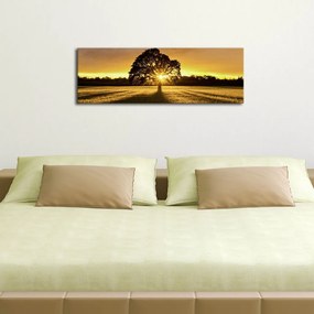 Vászonkép, 30×90 cm – 3090DACT-68