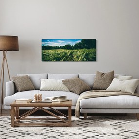 Rét és az erdő képe (120x50 cm)