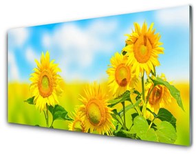 Üvegkép falra Napraforgó Virág Természet 100x50 cm