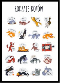 Vászonkép Poszter Keretben Macskák típusai Macskák vicces cicák P2419_43x53