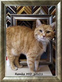 Klasszikus képkeret falra és elhelyezésre 15x21 Garden ezüst