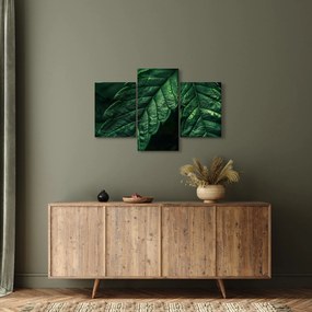 Kép - A lap részletei (90x60 cm)