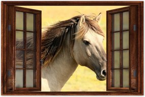 Poszterek 90x60 Lófej