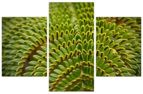 Kép - Fern (90x60 cm)