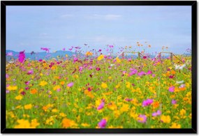 Poszterek keretben 60x40 Virágtenger Virágok