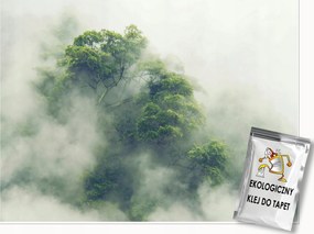 Fotótapéta Esőerdő Fák A Ködben A Hálószoba Nappaliba Tapéta 200x140