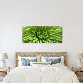 Kép - Makro kép egy növényről (120x50 cm)