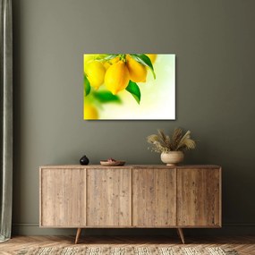 A citrom képe (üvegen) (70x50 cm)