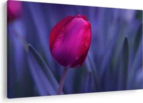 Tulipán bimbó képe (90x60 cm)