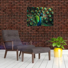 Kép – Pávatoll (70x50 cm)