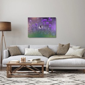 Kép - Pillangó a levendulán (üvegen) (70x50 cm)