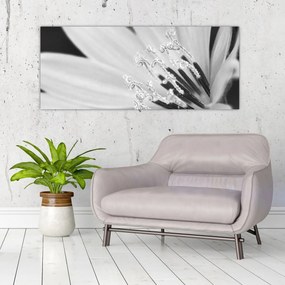 Kép - Fekete-fehér virág (120x50 cm)