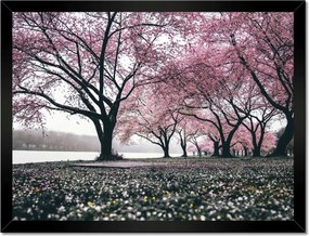 Poszterek keretben 40x30 Fa Kilátás