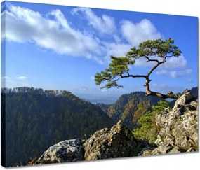 Våszonkép 40x30 Tåjképek Kilåtåsok Tåjképek