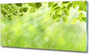 Fotó kép fotó edzett üveg levelek 100x70