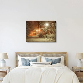 Kép - havas park (70x50 cm)
