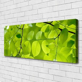 Vászonkép falra Elhagyja Plant 140x70 cm
