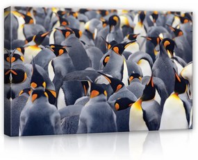 Pingvinek, vászonkép, 60x40 cm méretben