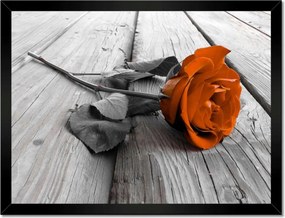 Poszterek keretben 40x30 Tearózsa Deszka