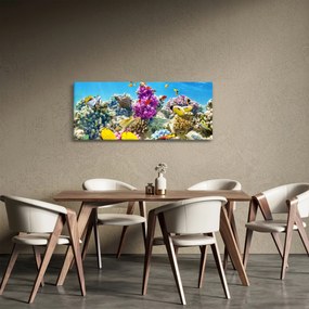Kép - A tenger világa (120x50 cm)