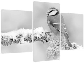 Kép - Egy madár egy ágon (90x60 cm)