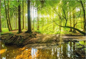 Stílusos Dekoratív Fotótapéta Flizelin Zöld táj 152x104 Ragasztó