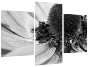 Kép - Virág fekete-fehérben (90x60 cm)