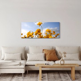 Fényes sárga virágokkal rendelkező mező képe (120x50 cm)