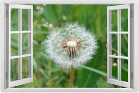 Poszterek 60x40 Pitypang Virág Virágok