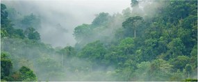 Kép - Reggeli köd (120x50 cm)