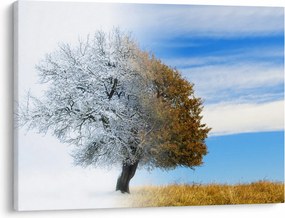 Kép - Évszakváltás (70x50 cm)