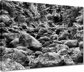 Vászonkép 40x30 Tátra Lengyel hegyek Kilátás