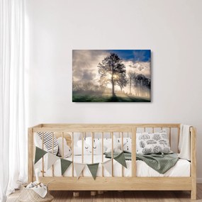Fa a ködben képe (90x60 cm)