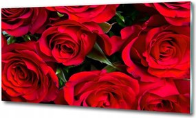 Fotótapéta üvegfalra Rózsaszín tulipánok 125x50