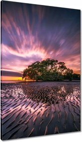 Vászonkép 60x90 Gyönyörű lila tájkép