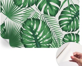 Design fali fotótapéta öntapadós Trópusi levelek 416x254 cm