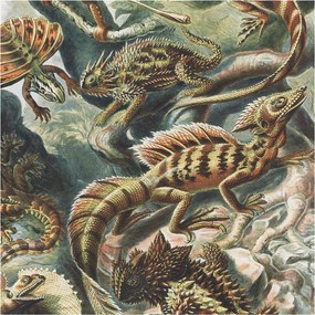 Fotótapéta Fali tapéta Hálószoba Nappali Egzotikus hüllők 250x104 Ragasztó