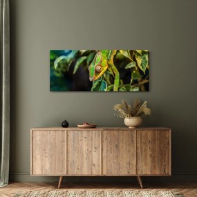 Kaméleon képe (120x50 cm)